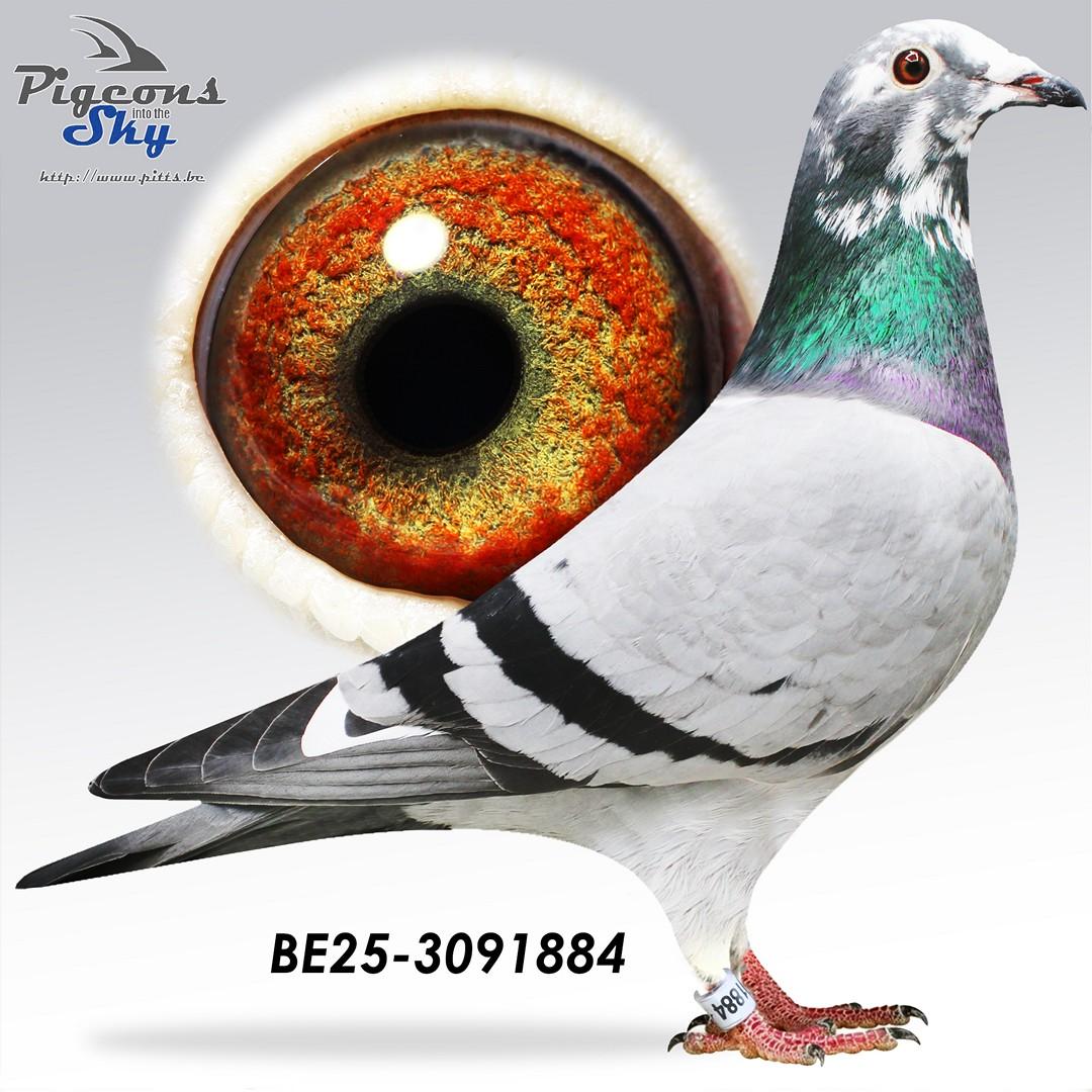 Bonte Loobuyck x Het Bonte Saytijdje 