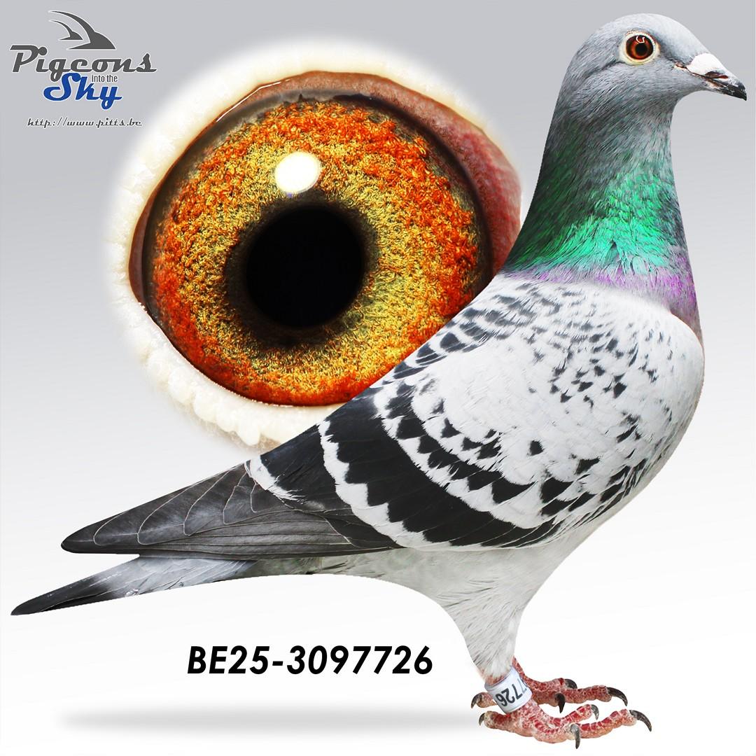 De Mario x Dochter Dikke 10 