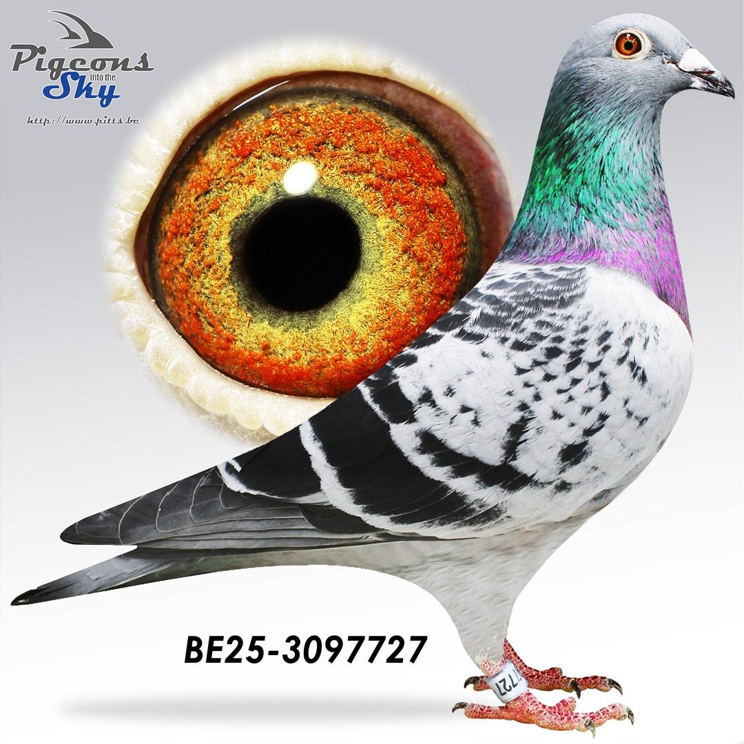 De Mario x Dochter Dikke 10 