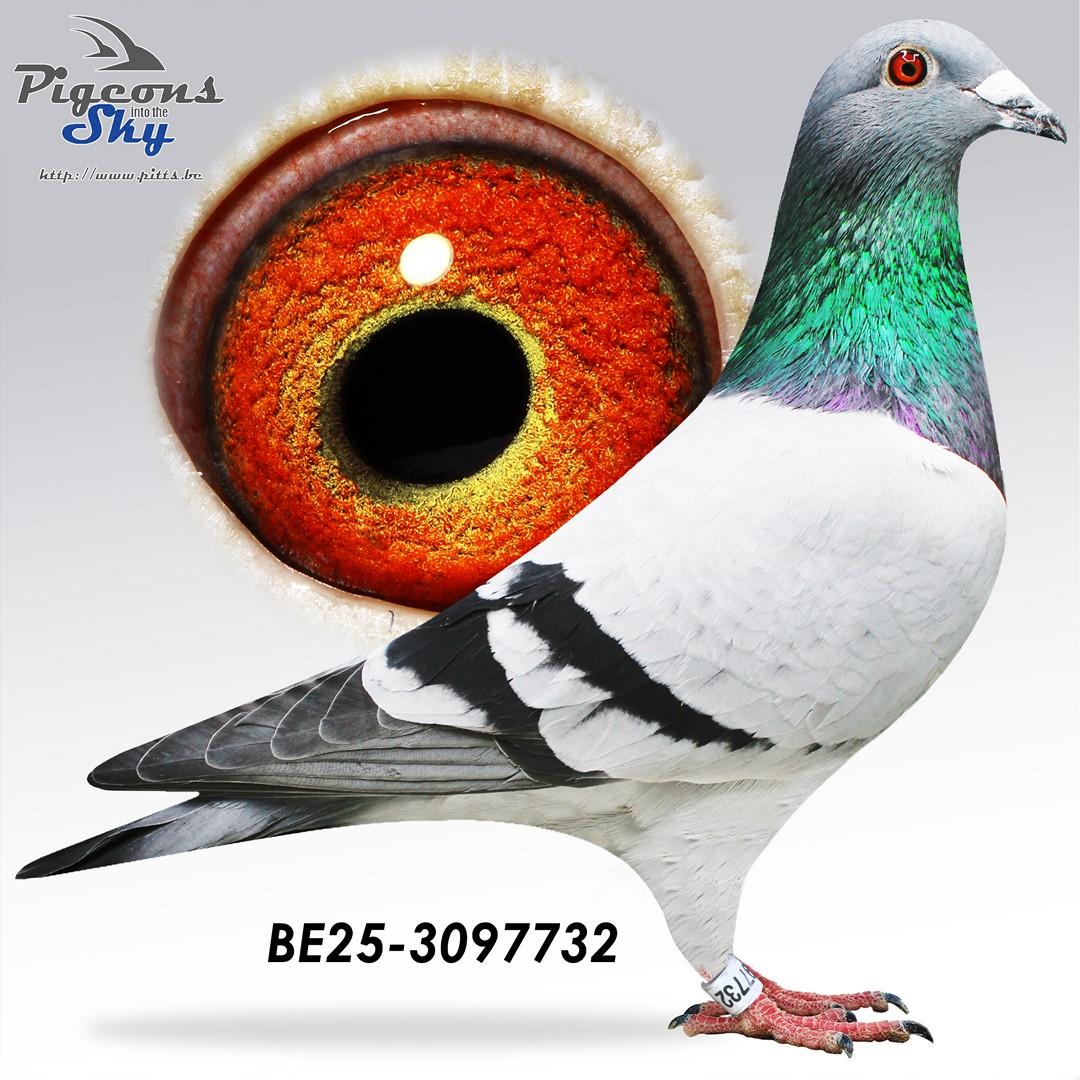 Zoon Nationaal 776 x GWP JVH 