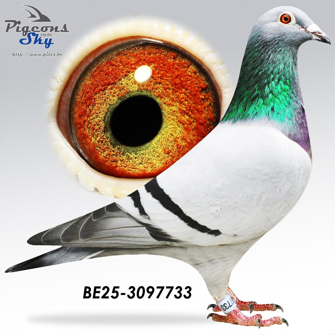 Zoon Nationaal 776 x GWP JVH 