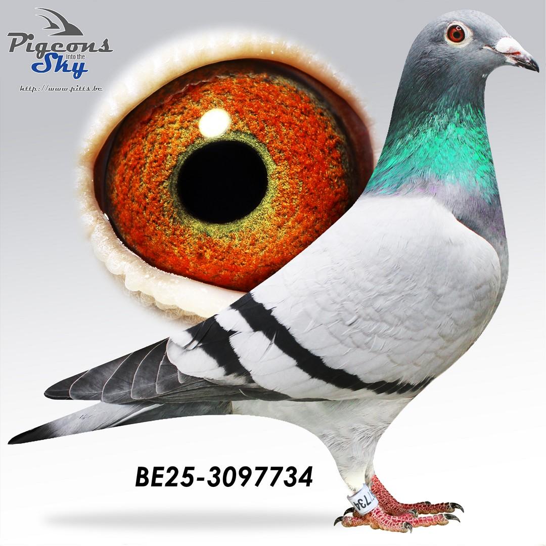 Zoon Nationaal 63 x Zus Miel 