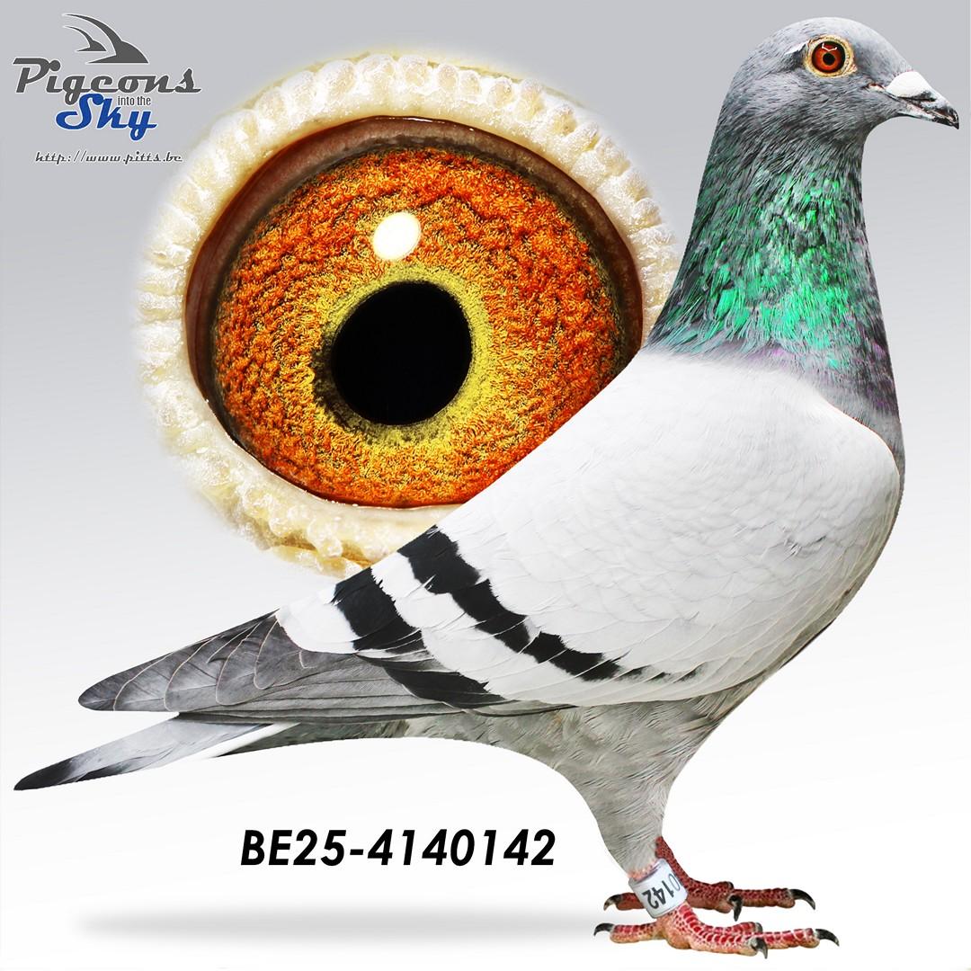 Kempeneers Valère & Dina / Cor de Heijde 