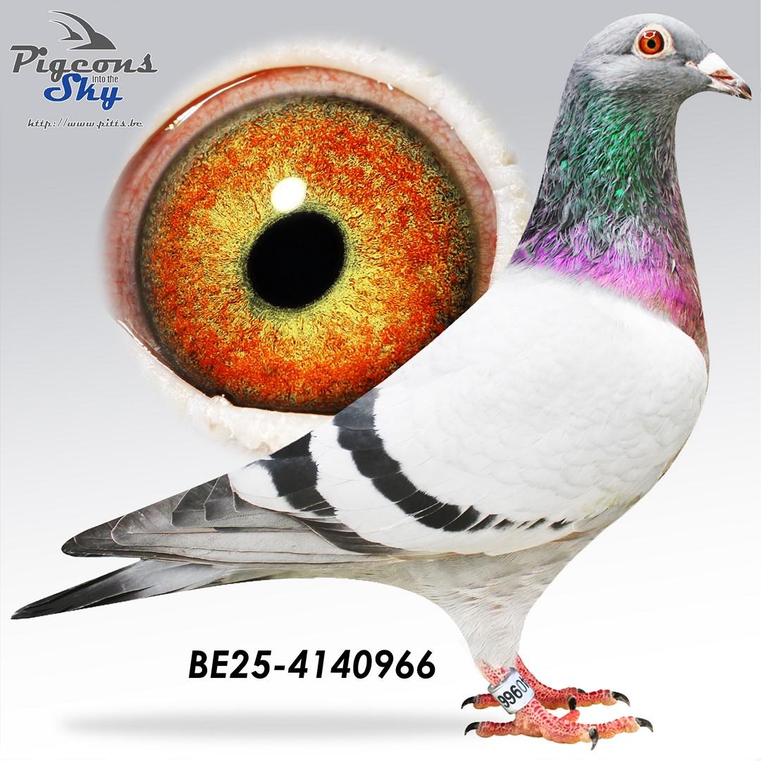 1/2 zus Saartje: 1e Nationale Asduif Narbonne 2023/2024 