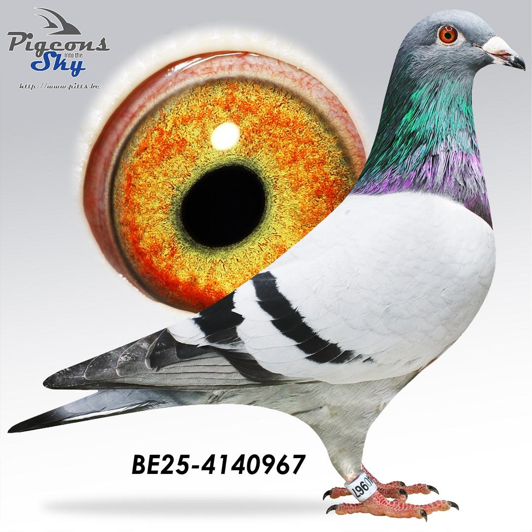 1/2 zus Saartje: 1e Nationale Asduif Narbonne 2023/2024 