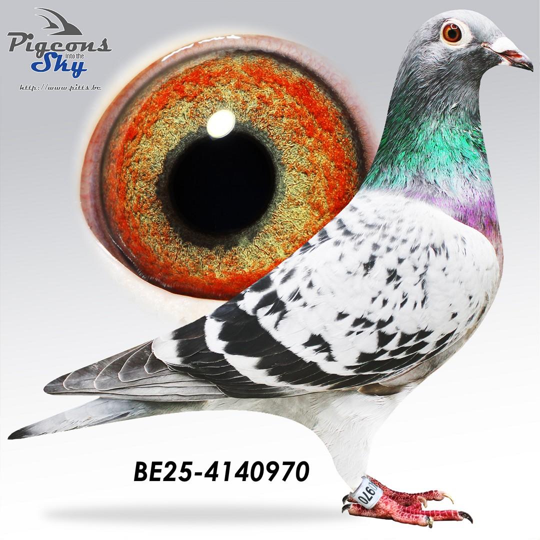 dochter Young Sparrow: 1e provinciaal Narbonne Jaarlingen 2023 