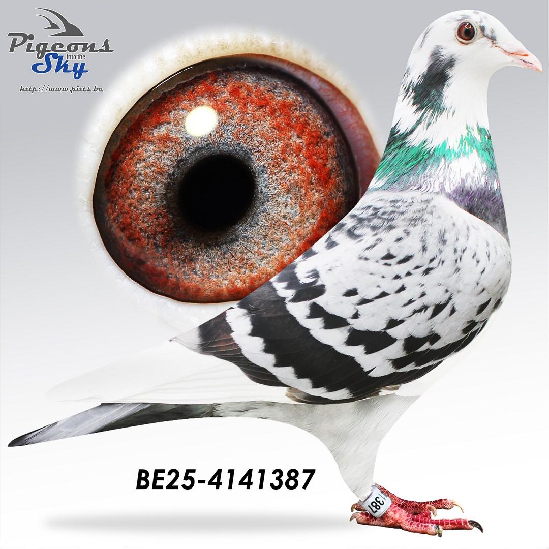 zus Daani 287/20: 29e Nationaal Perpignan 2024 en 8/8 op de marathon