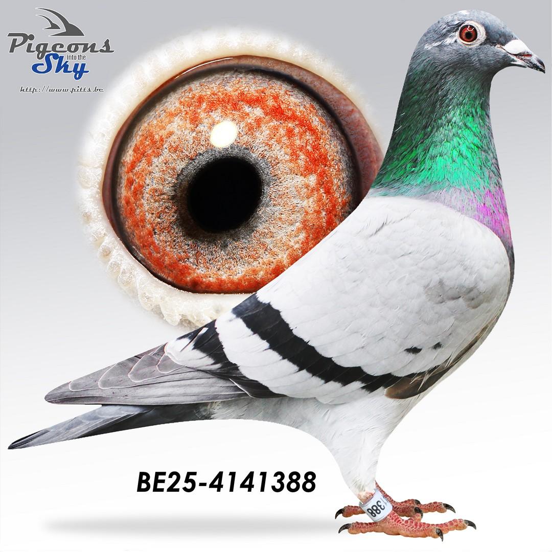 zus Daani 287/20: 29e Nationaal Perpignan 2024 en 8/8 op de marathon