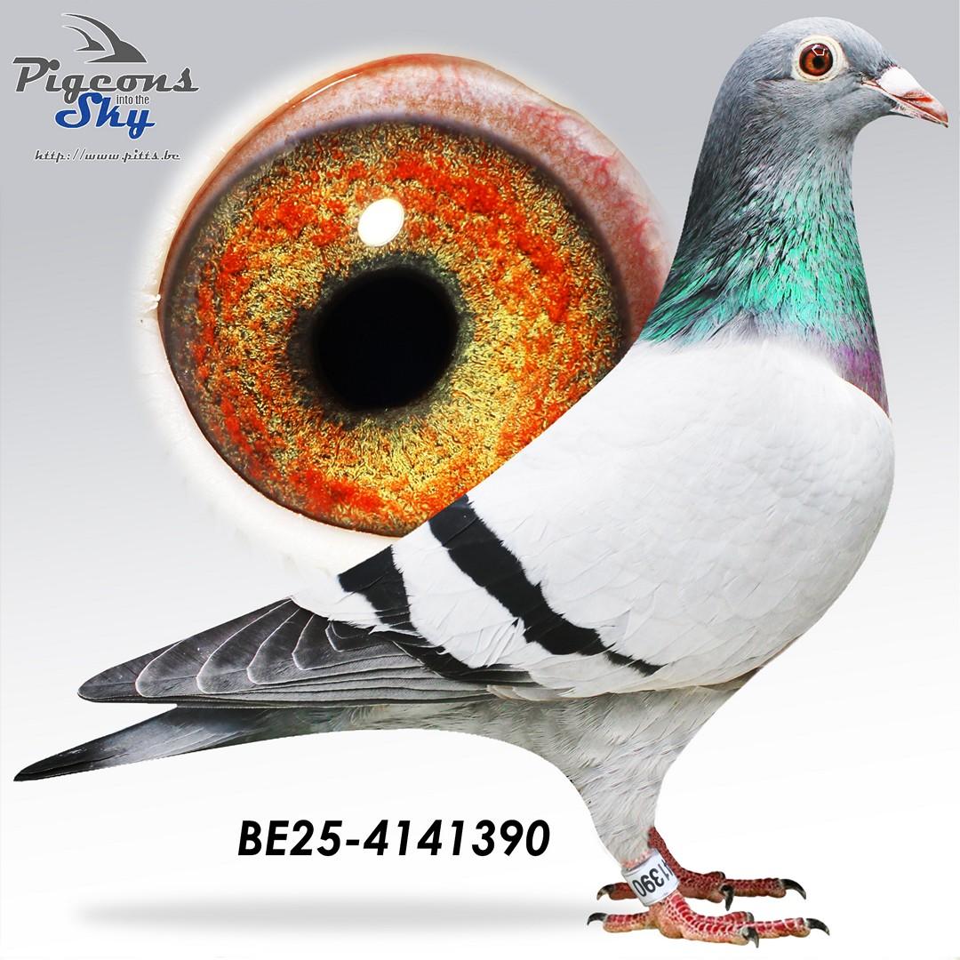 inteelt Jill, Jelle Jellema, kldtr De Cahors, Piet de Vogel 