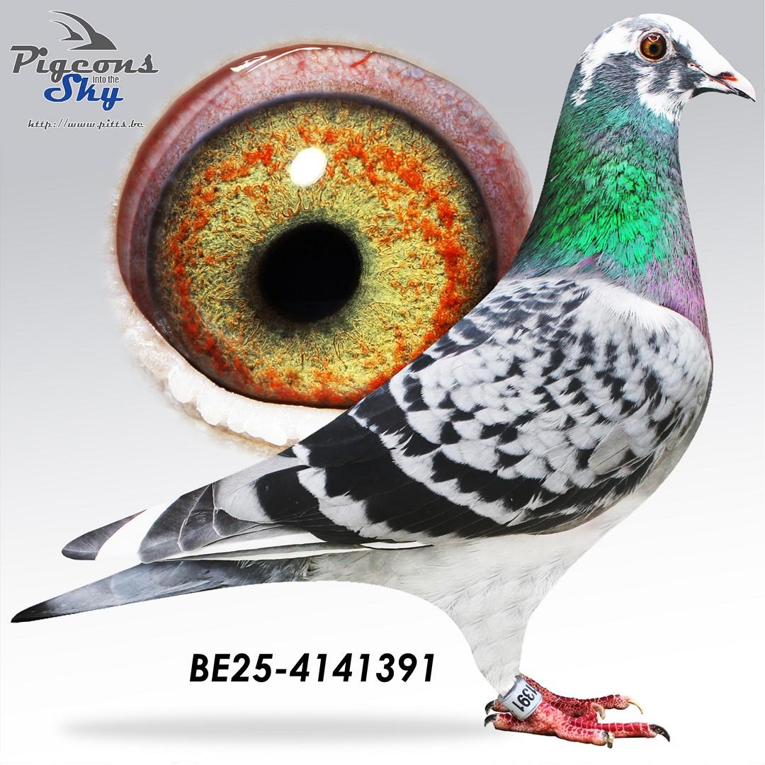 dochter 2/170 Agen '25, 39e Provinciaal Agen '25, 69e Provinciaal Marseille '25