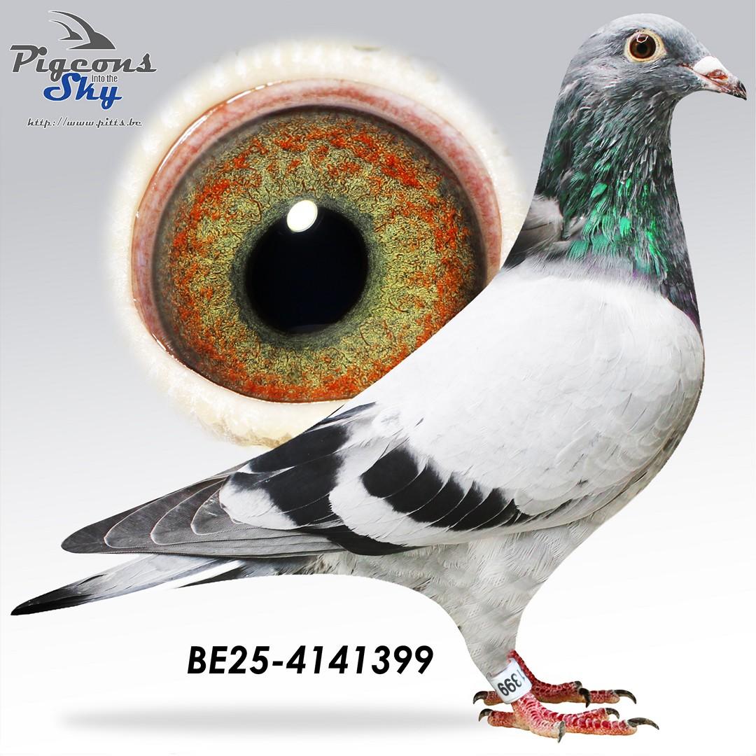 dochter Saartje: 1e Nationale Asduif Narbonne 2023/2024 