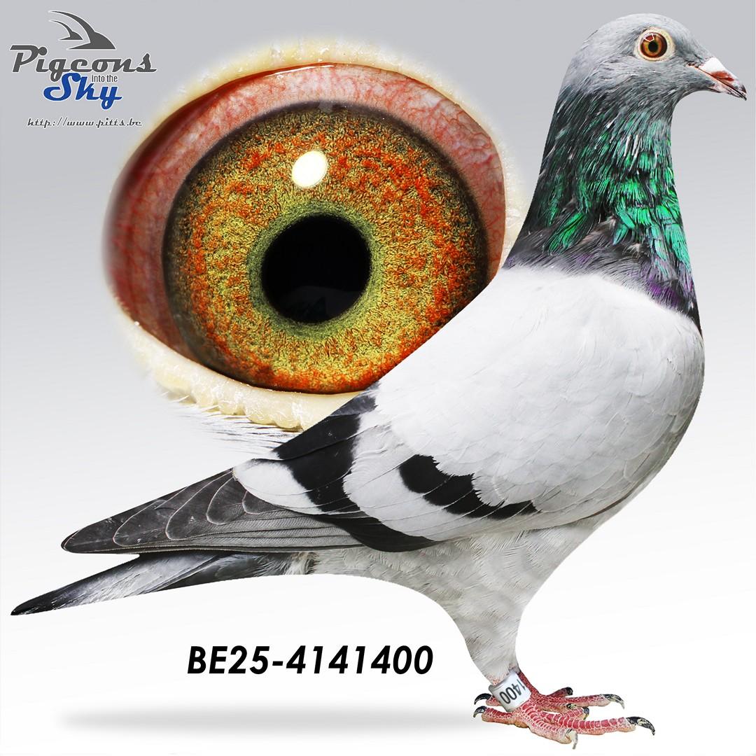 zoon Saartje: 1e Nationale Asduif Narbonne 2023/2024 