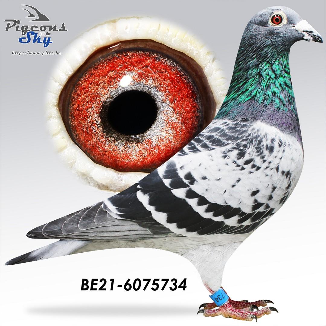 Broer nationaal Alex x Kleindochter nationaal Alex 