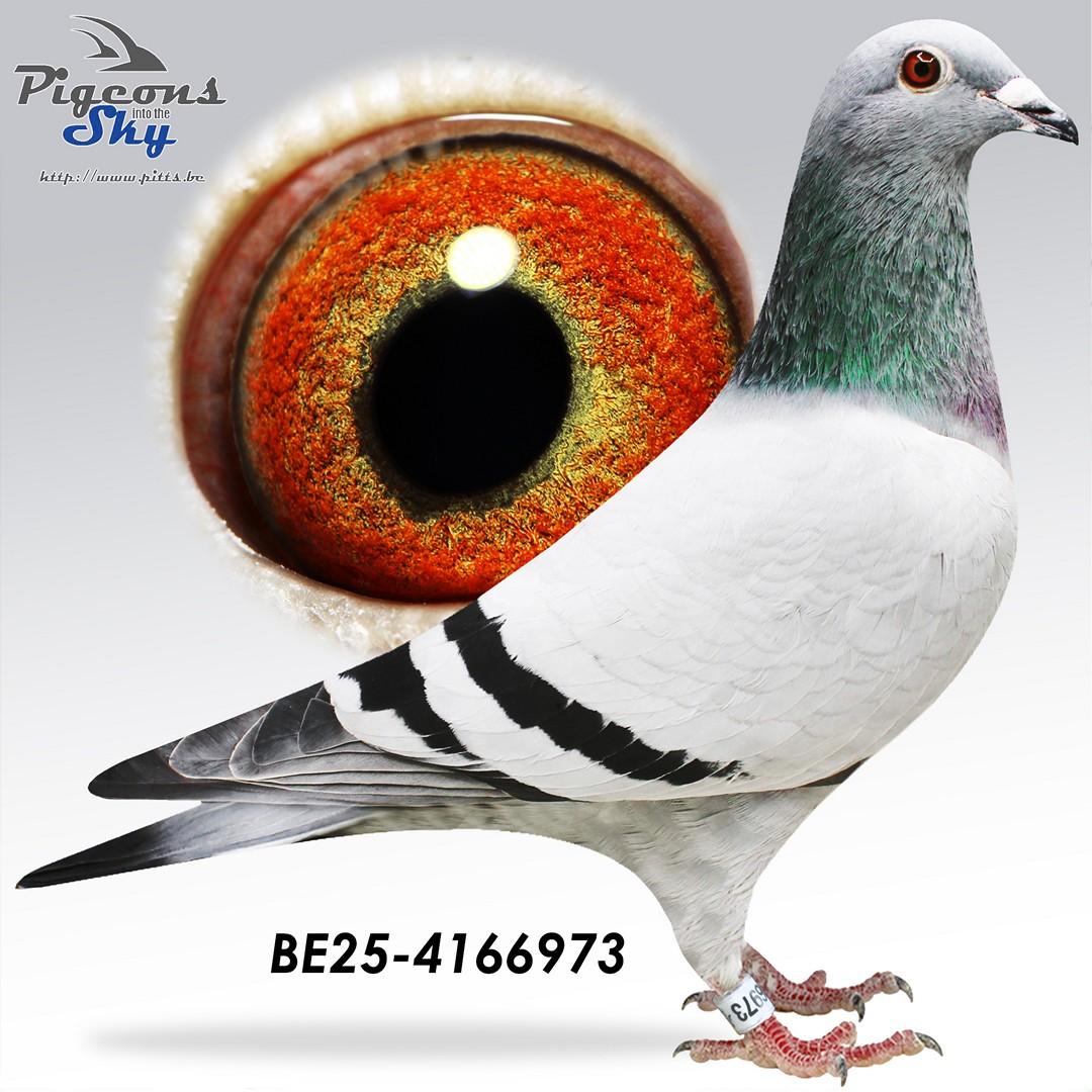 Porsche Seventy Three 