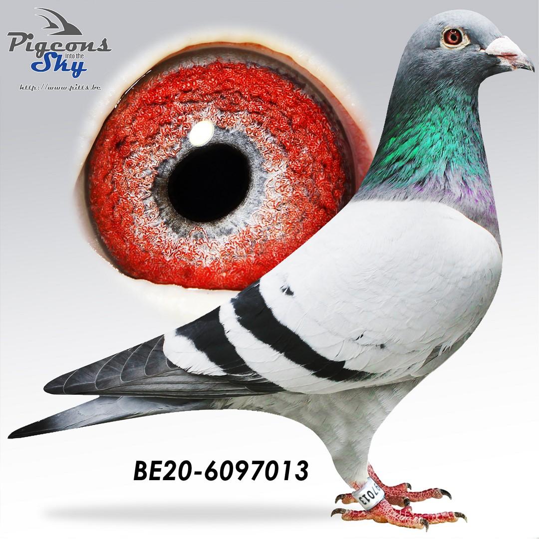 013 Jos Bastiaens - Original Jos Bastiaens