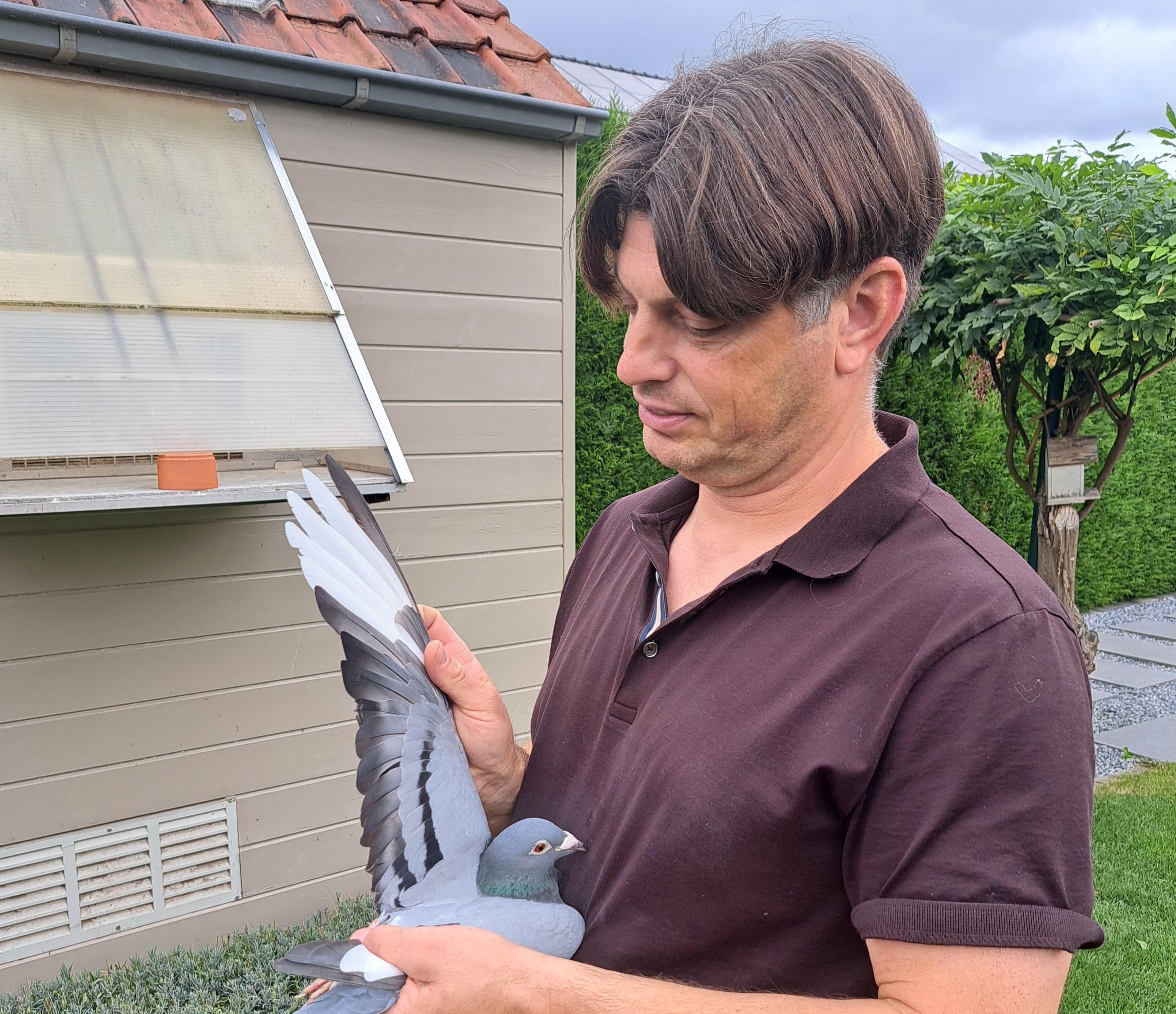 Auction: Deprez-Bataille