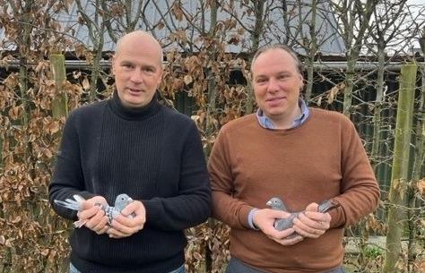 Auction: Steven & Wouter Noël (deel 2)