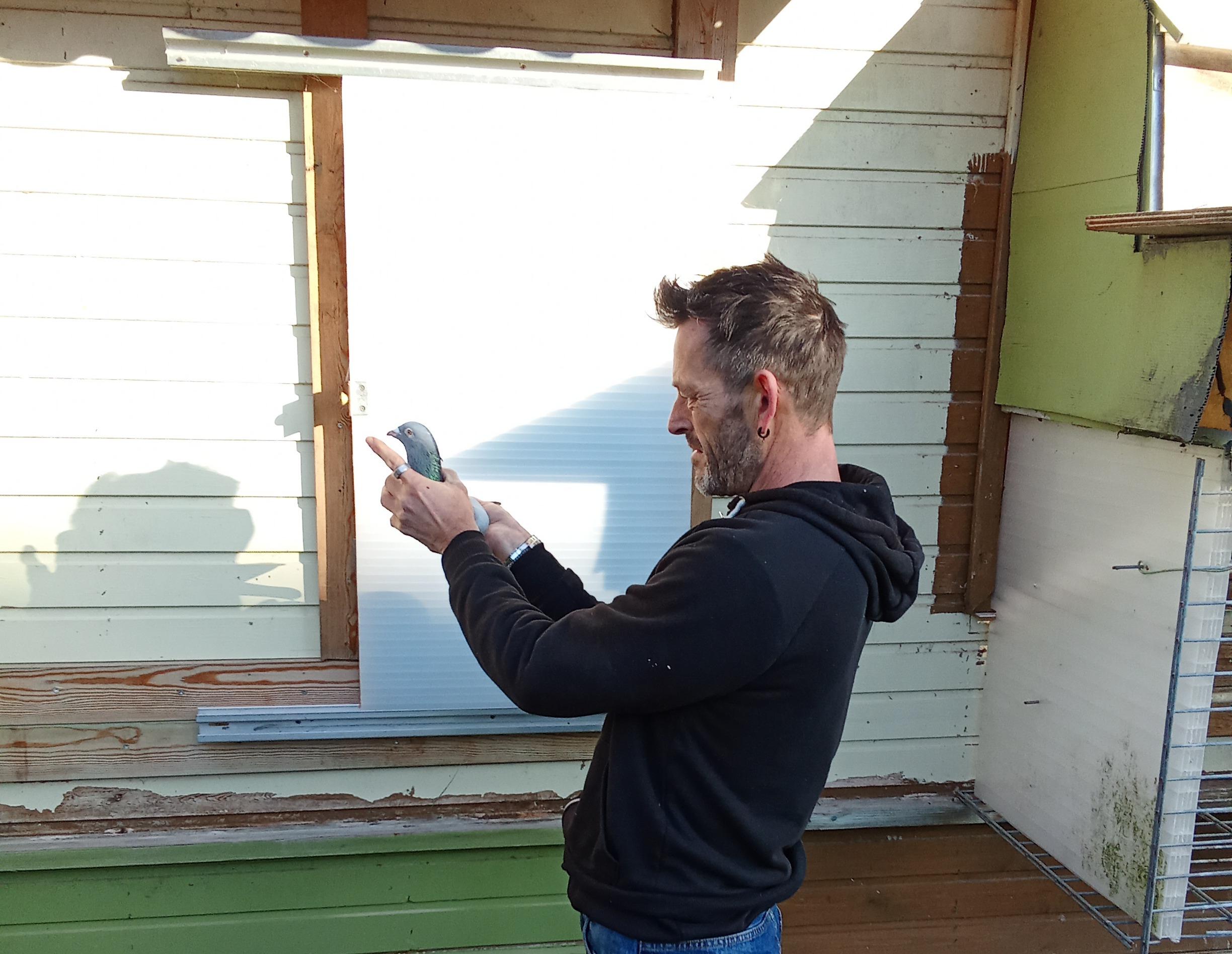 Auction: Marnik Du Bois