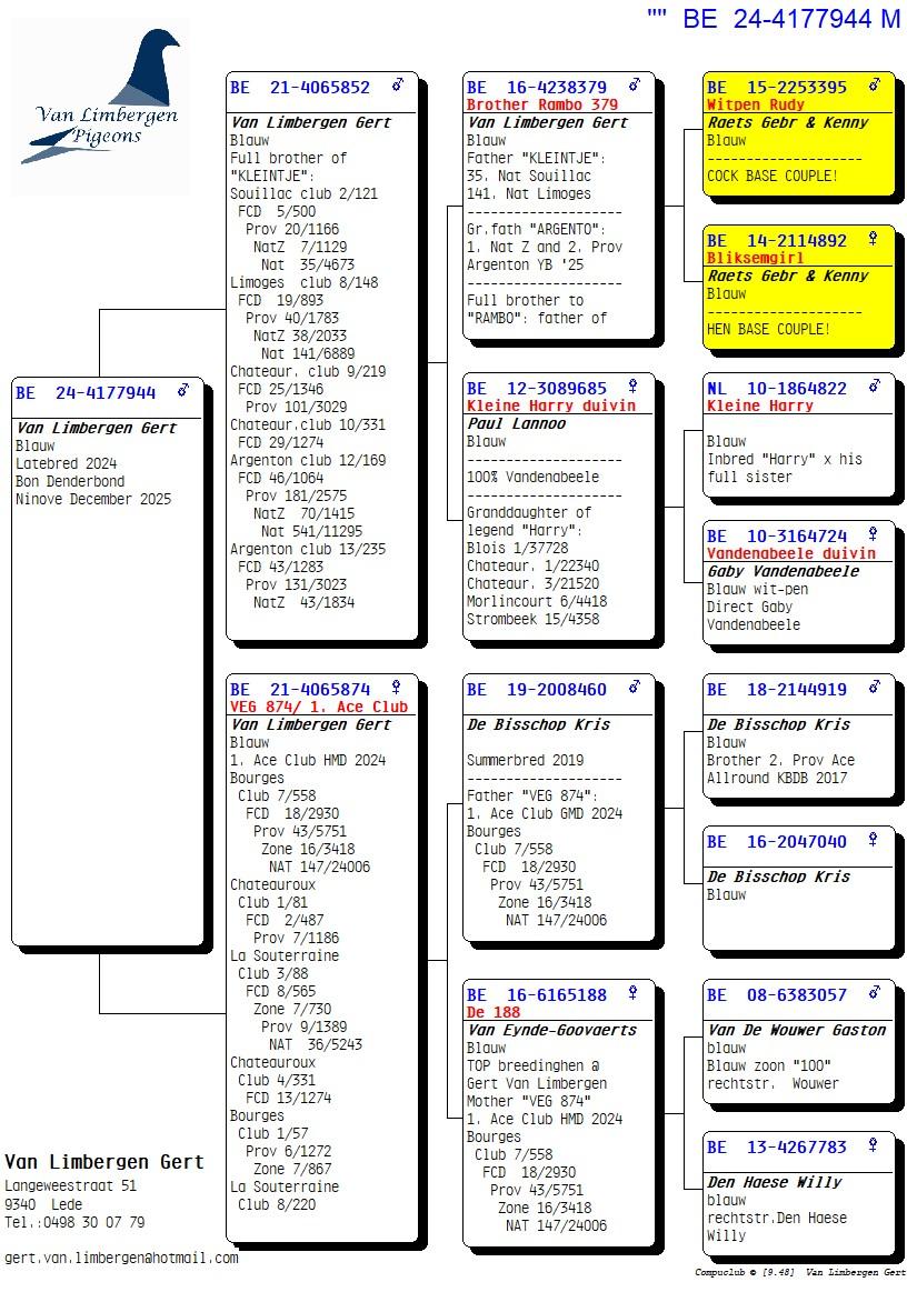 Pedigree van Van Limbergen Gert (Lede) schenkt een	duif ter plaatse 