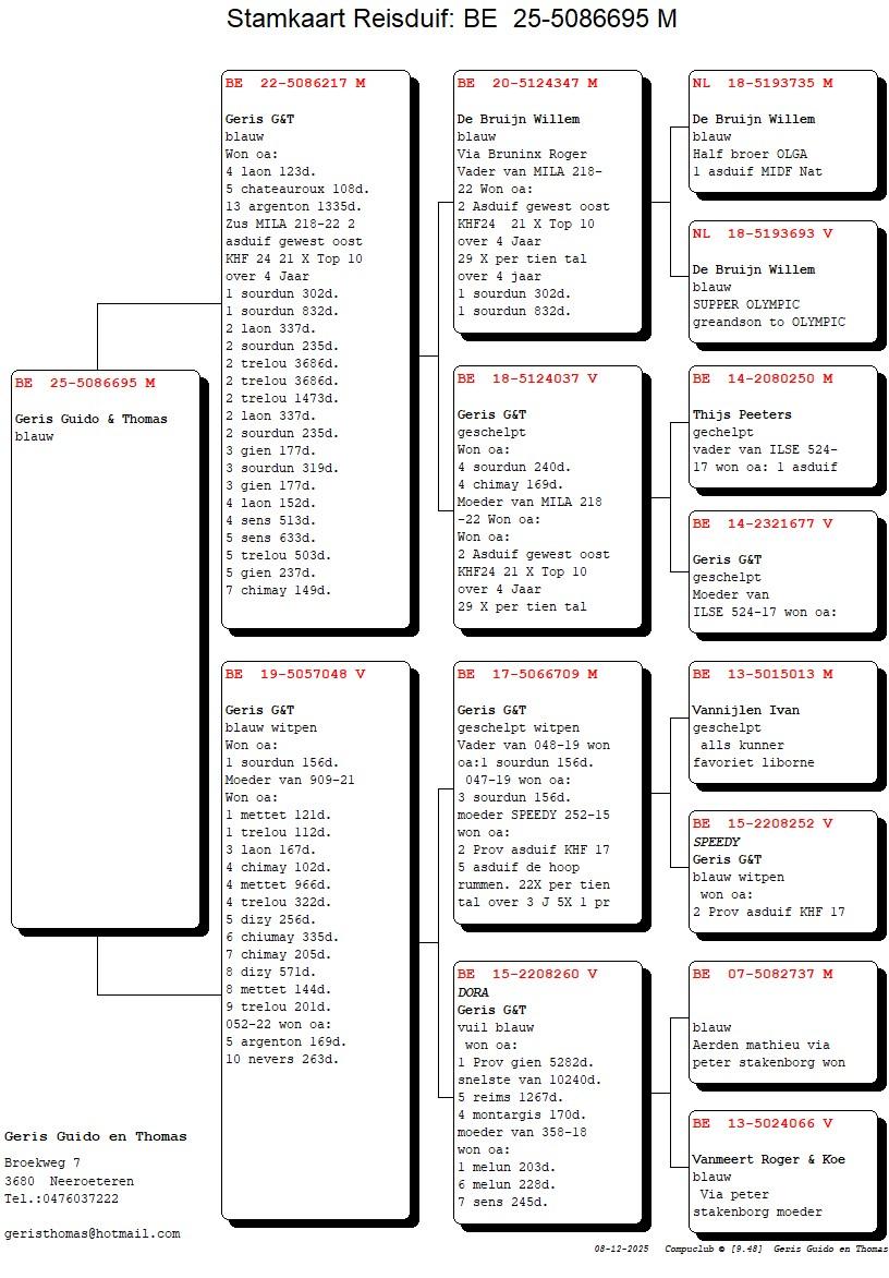 pedigree Lijn De Bruijn Willem x Dochter Dora 