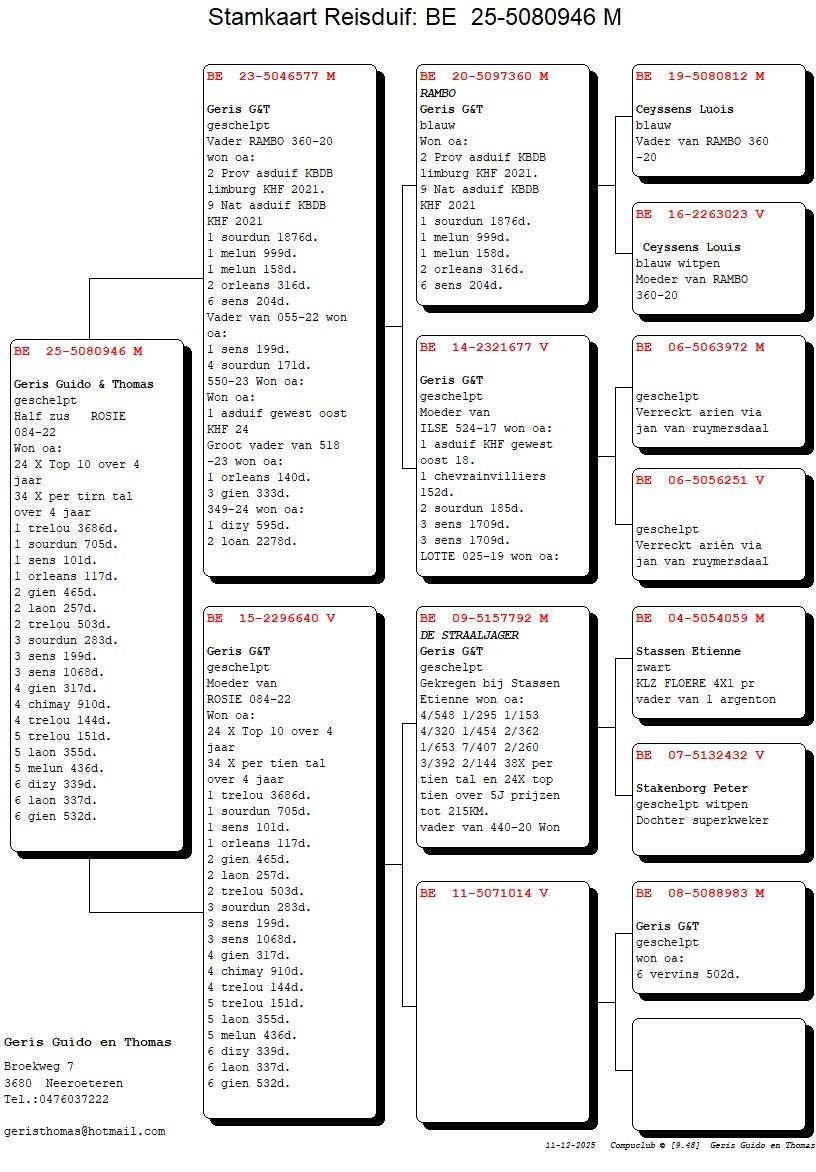 pedigree Zoon Rambo x Dochter De Straaljager 