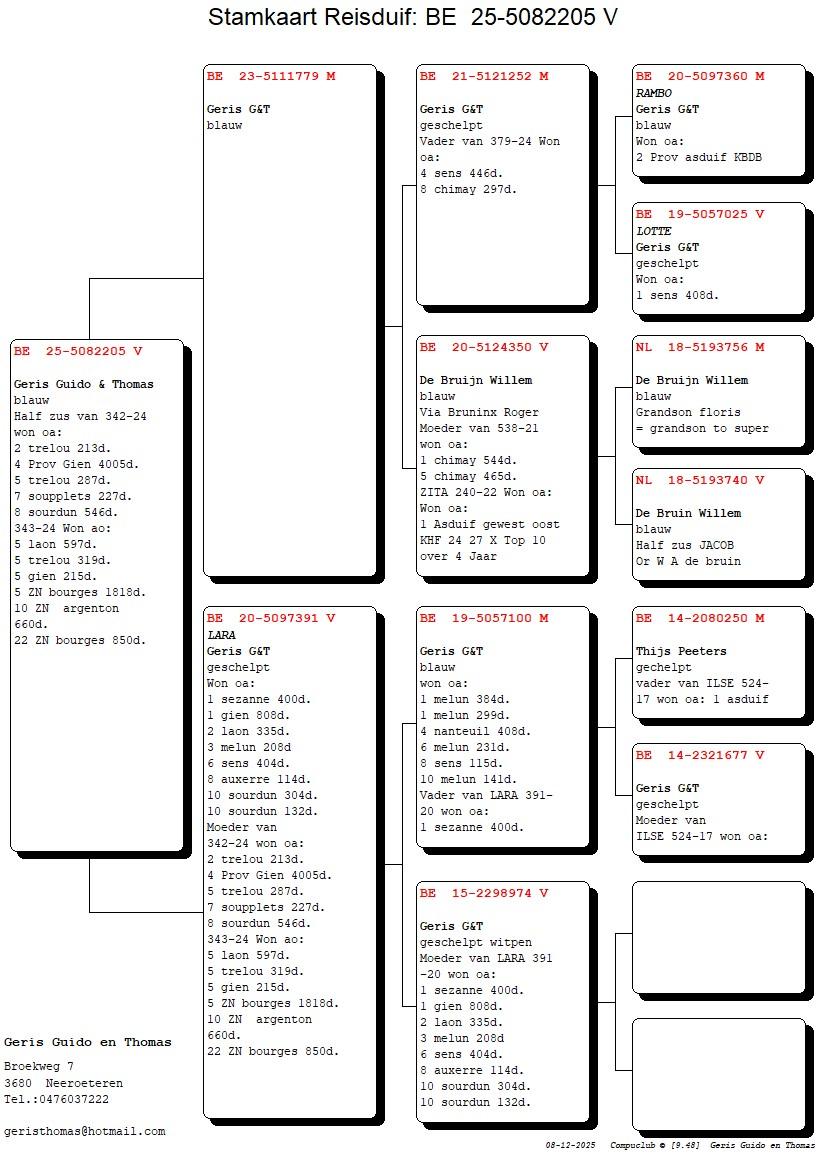 pedigree Kleinzoon Rambo x Lara 