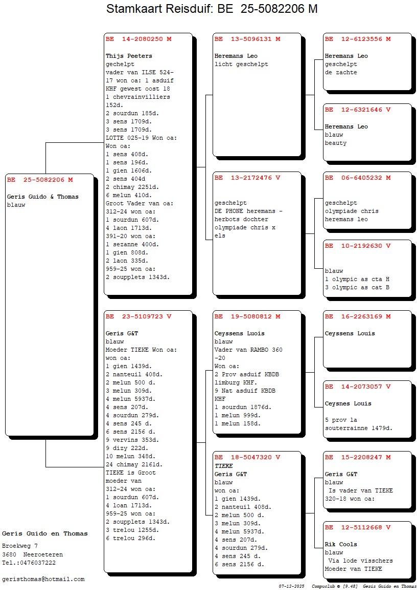 pedigree Lijn Heremans Leo x Dochter Tieke 