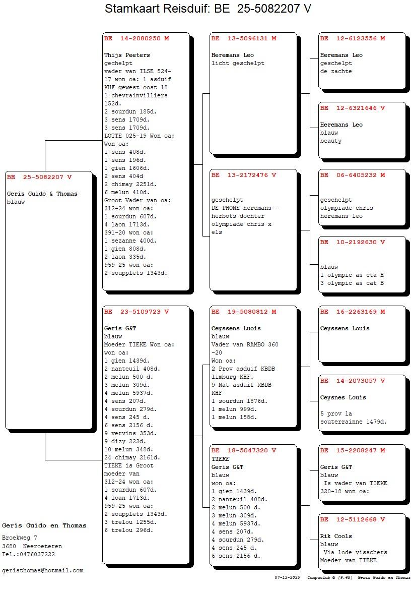 pedigree Lijn Heremans Leo x Dochter Tieke 