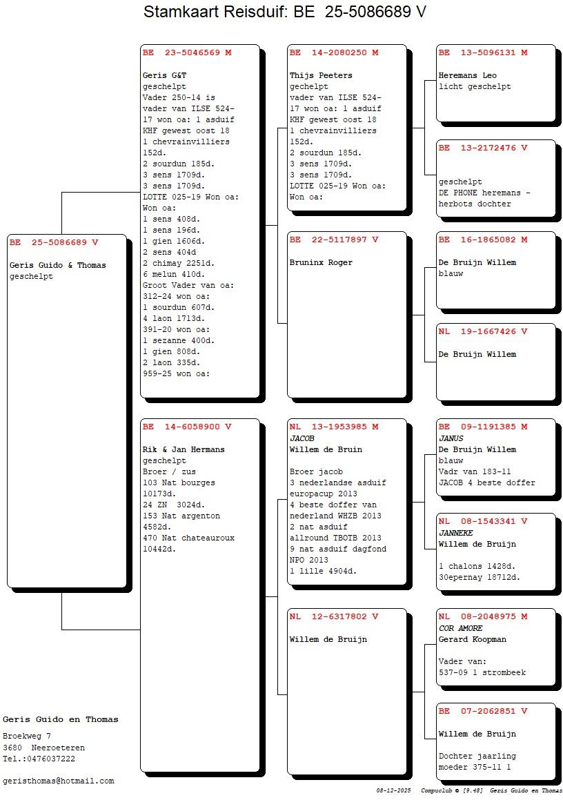 pedigree Vader Ilse x Hermans 