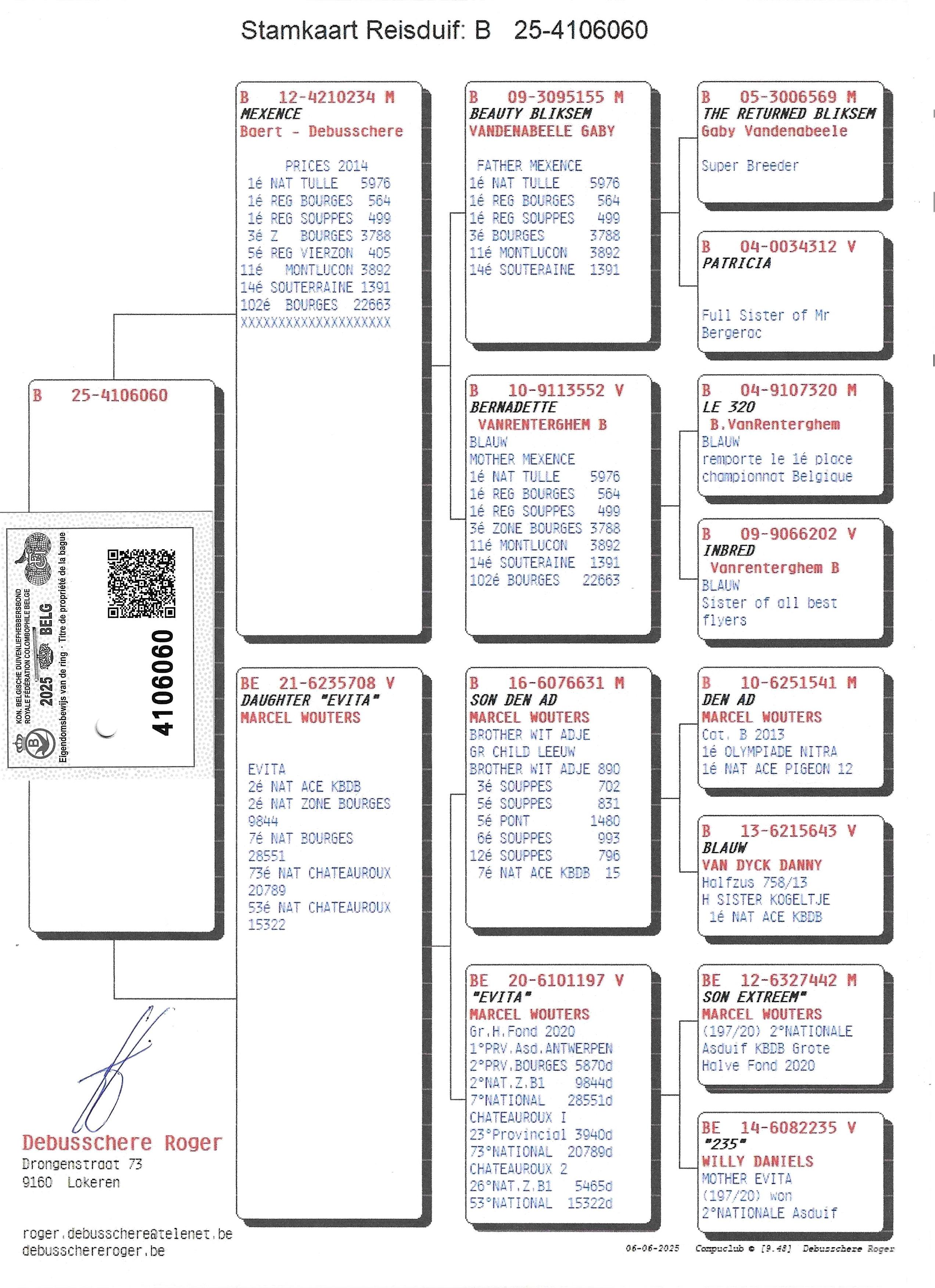 pedigree Mexence x Daughter Evita 