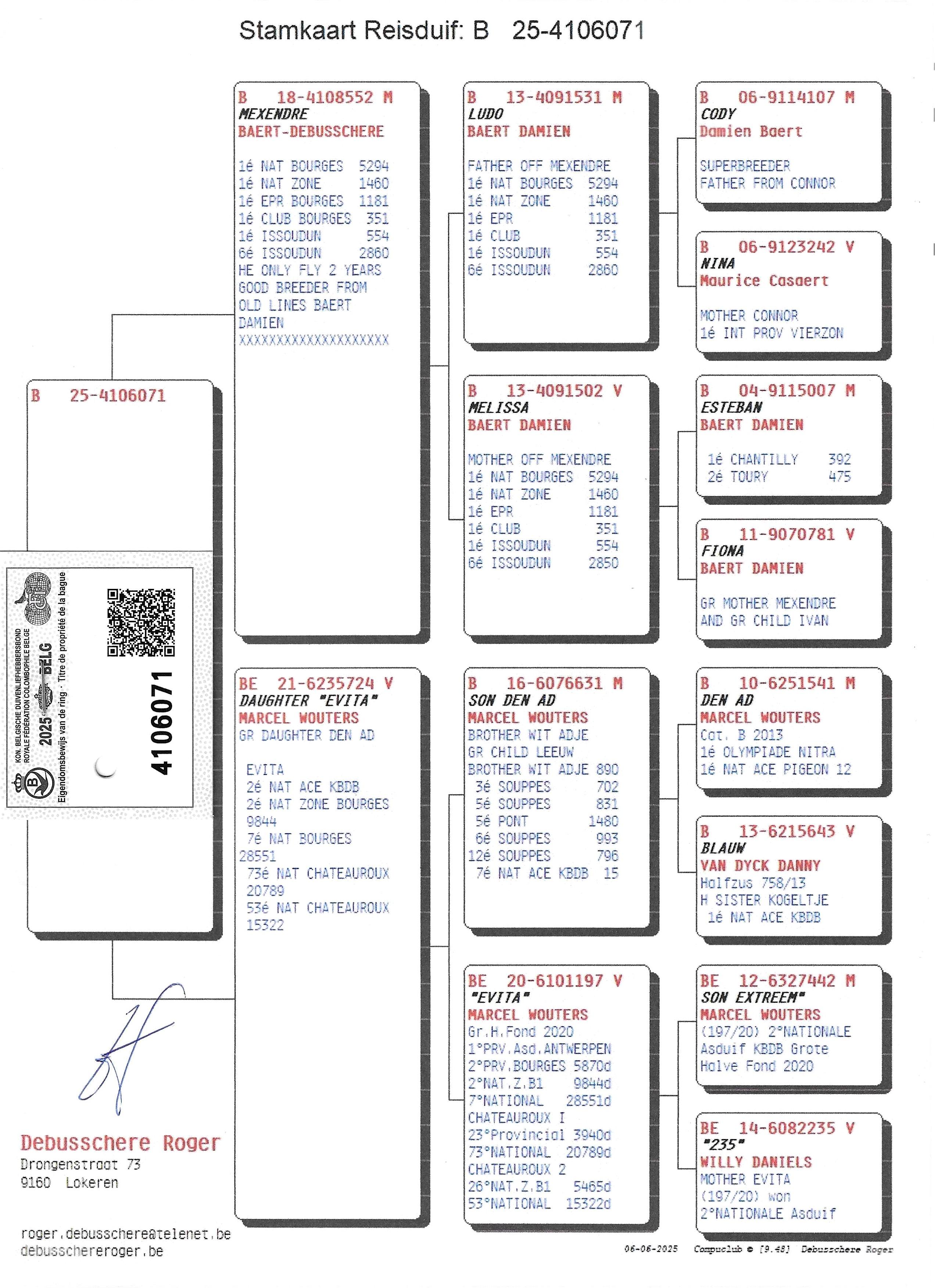 pedigree Mexendre x Daughter Evita 