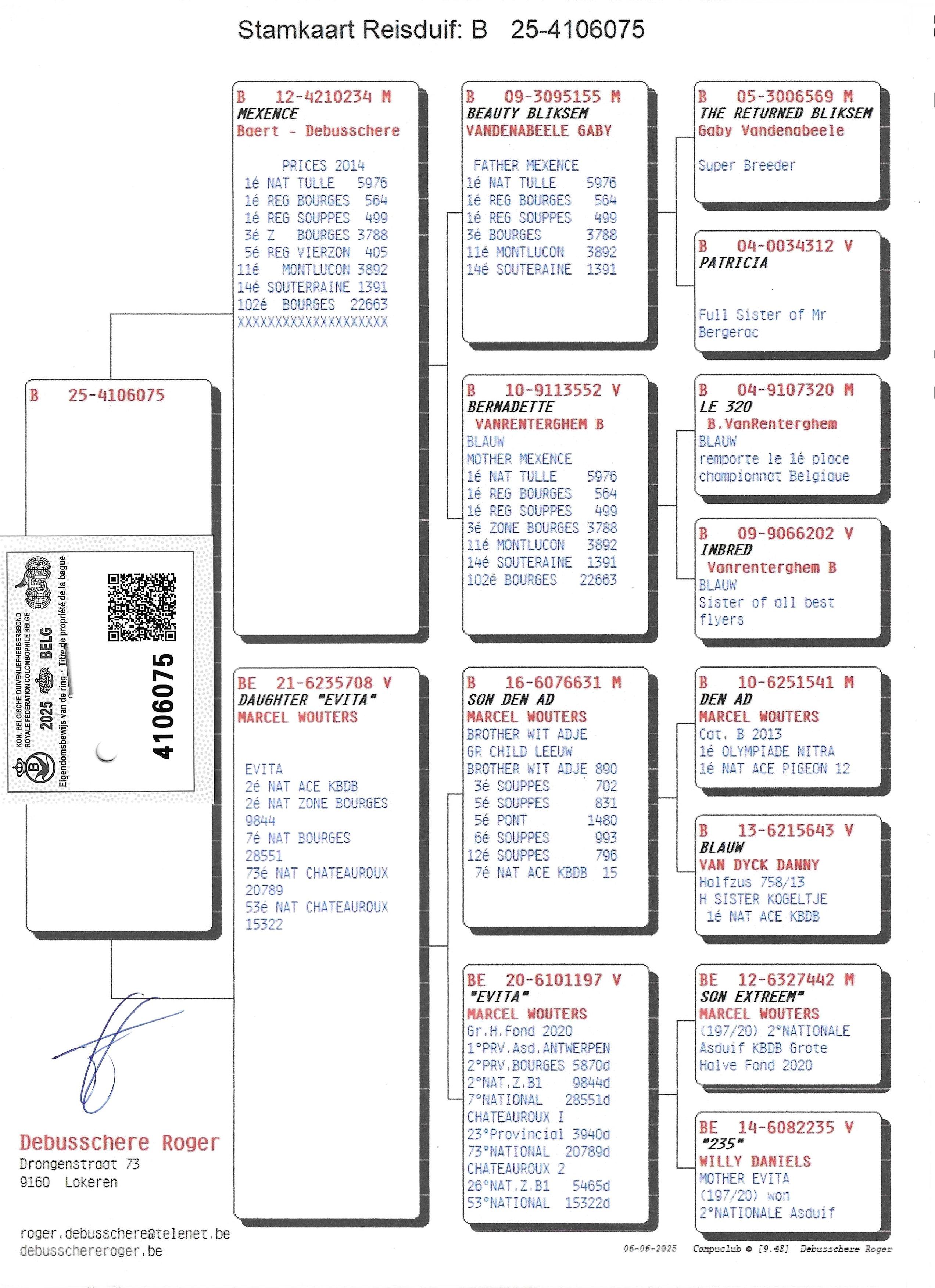 pedigree Mexence x Daughter Evita 