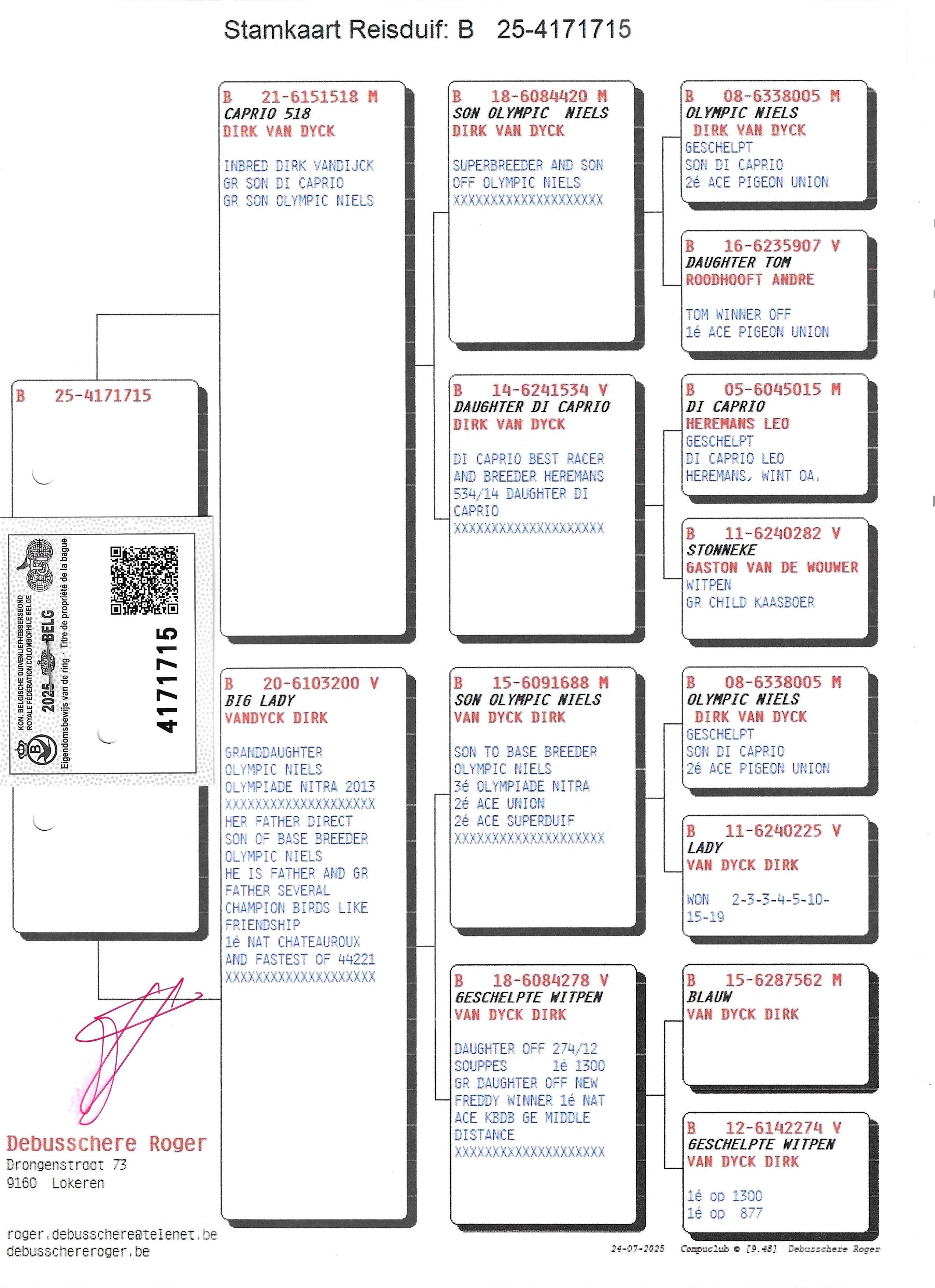 pedigree Caprio 518 x Big Lady 
