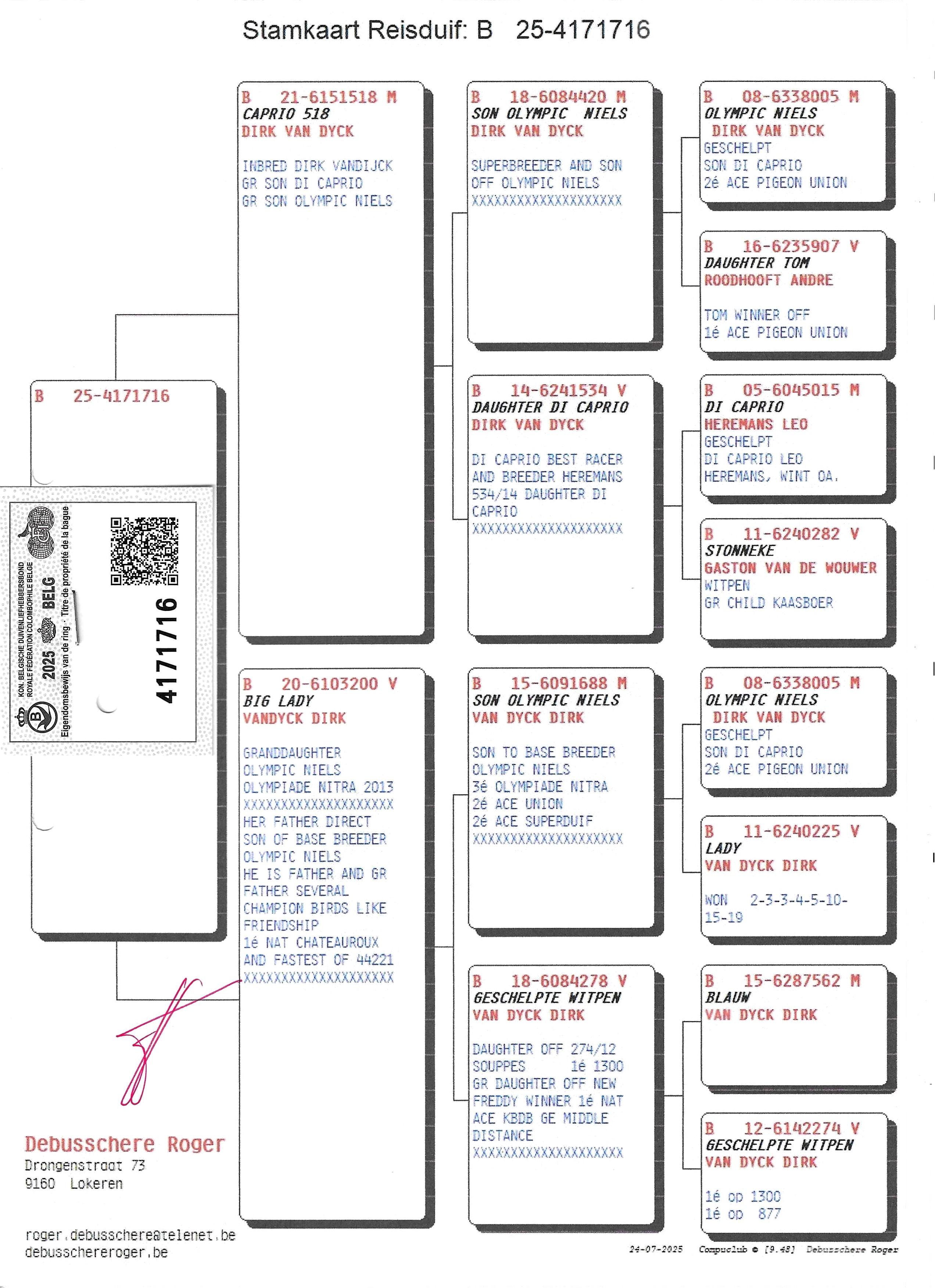 pedigree Caprio 518 x Big Lady 