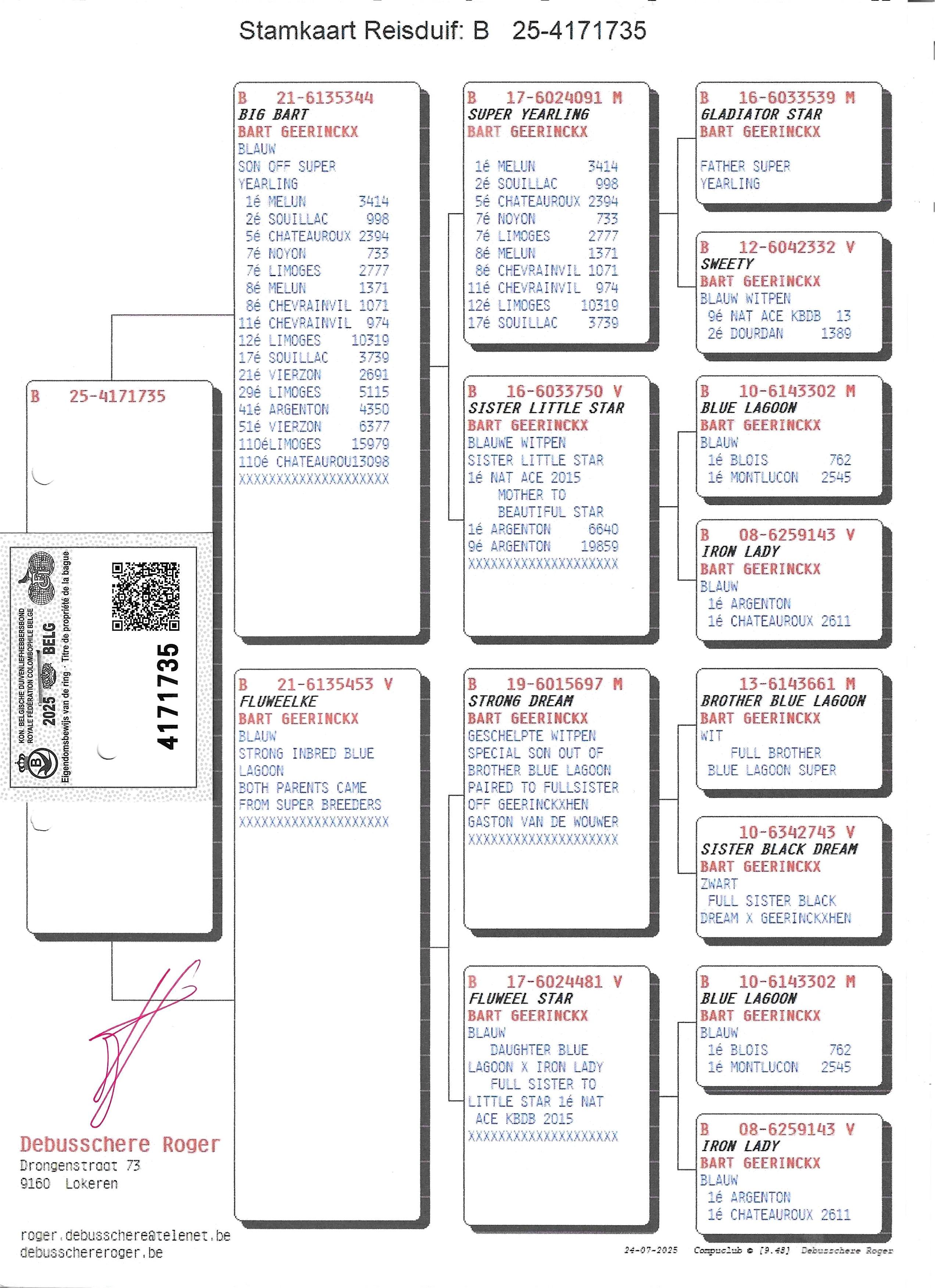 pedigree Big Bart x Fluweelke 