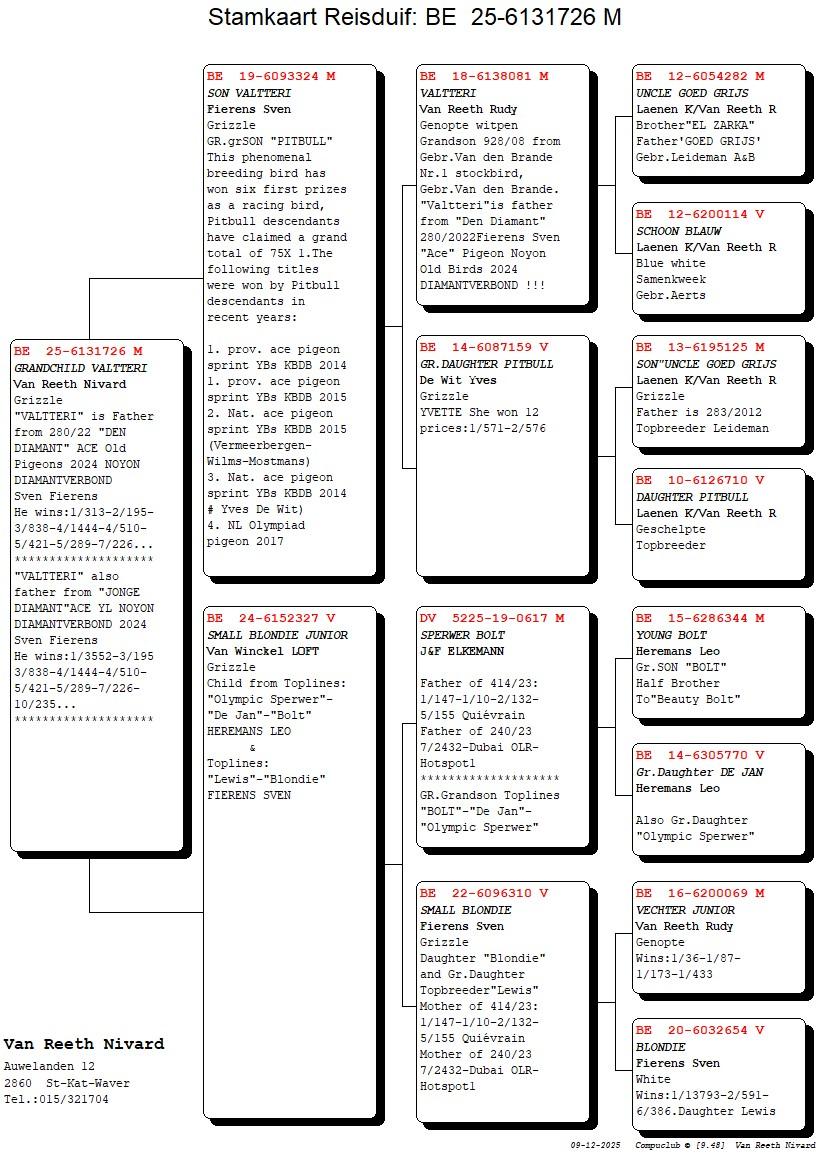 pedigree Grandchild Valtteri 