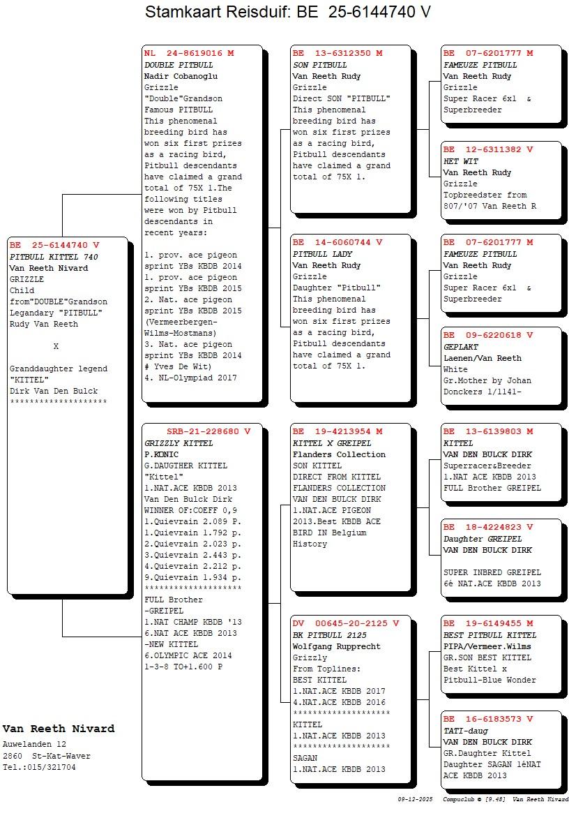 pedigree Pitbull Kittel 740 