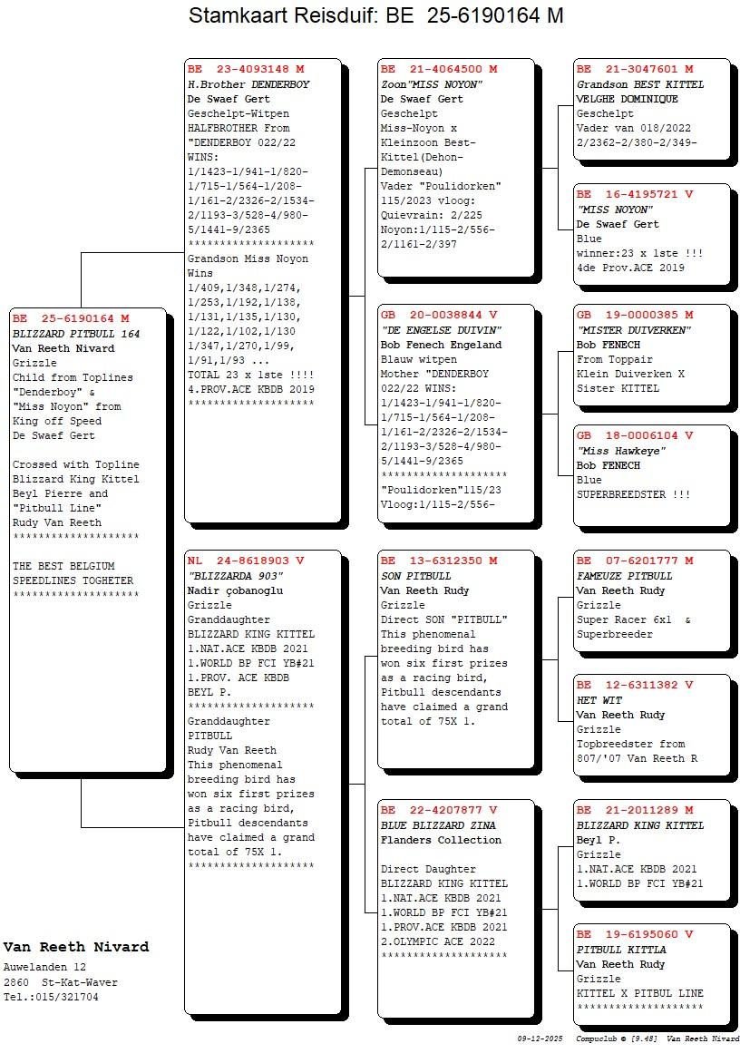 pedigree Blizzard Pitbull 164 