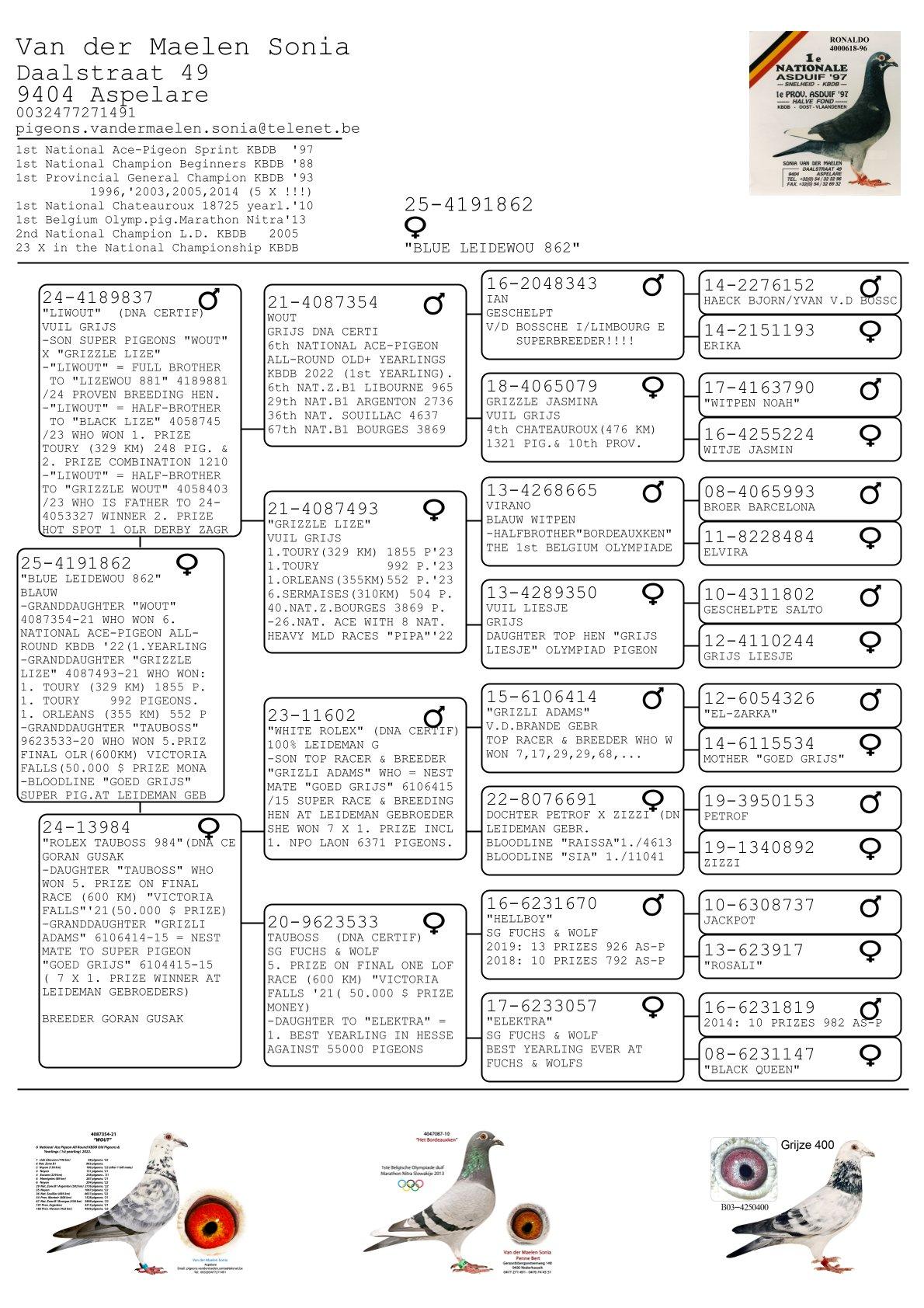 pedigree Blue Leidewou 862 
