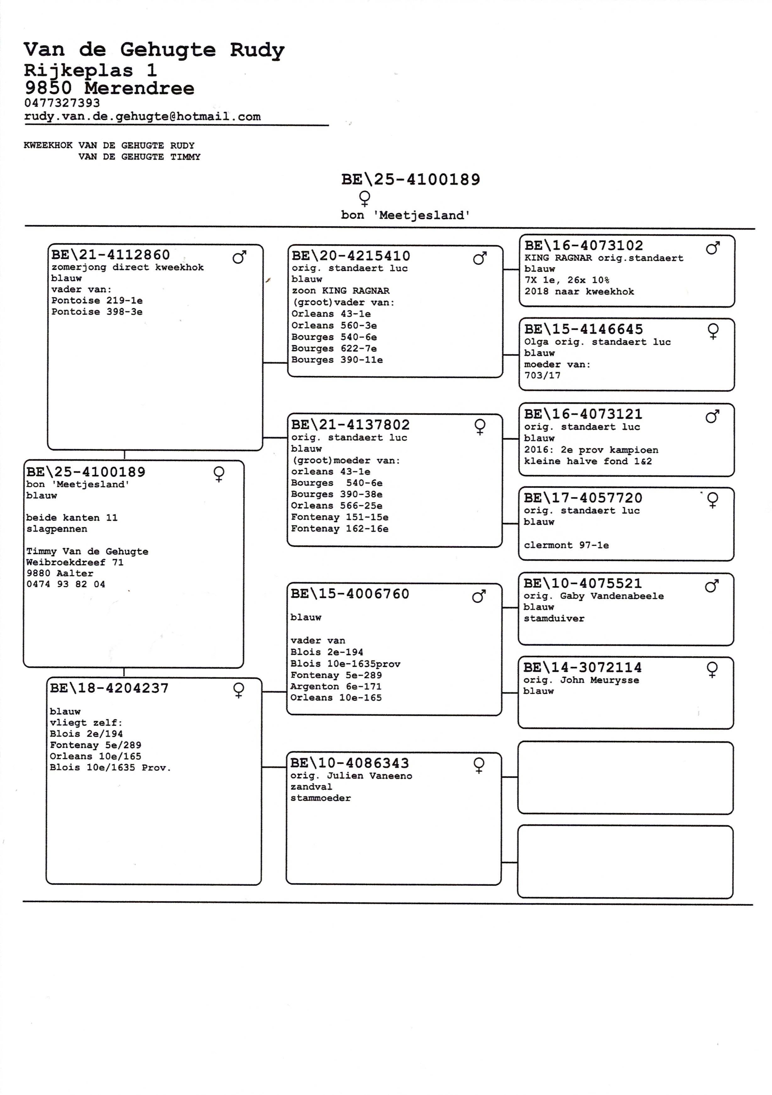 pedigree Van de Gehugte Timmy, Aalter - duif ter plaatse