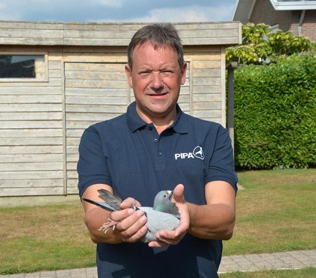 De Neve Marnick, Landegem - duif ter plaatse