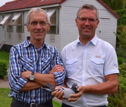 Loobuyck Jos & Jan, Aalter - jonge duif op afspraak