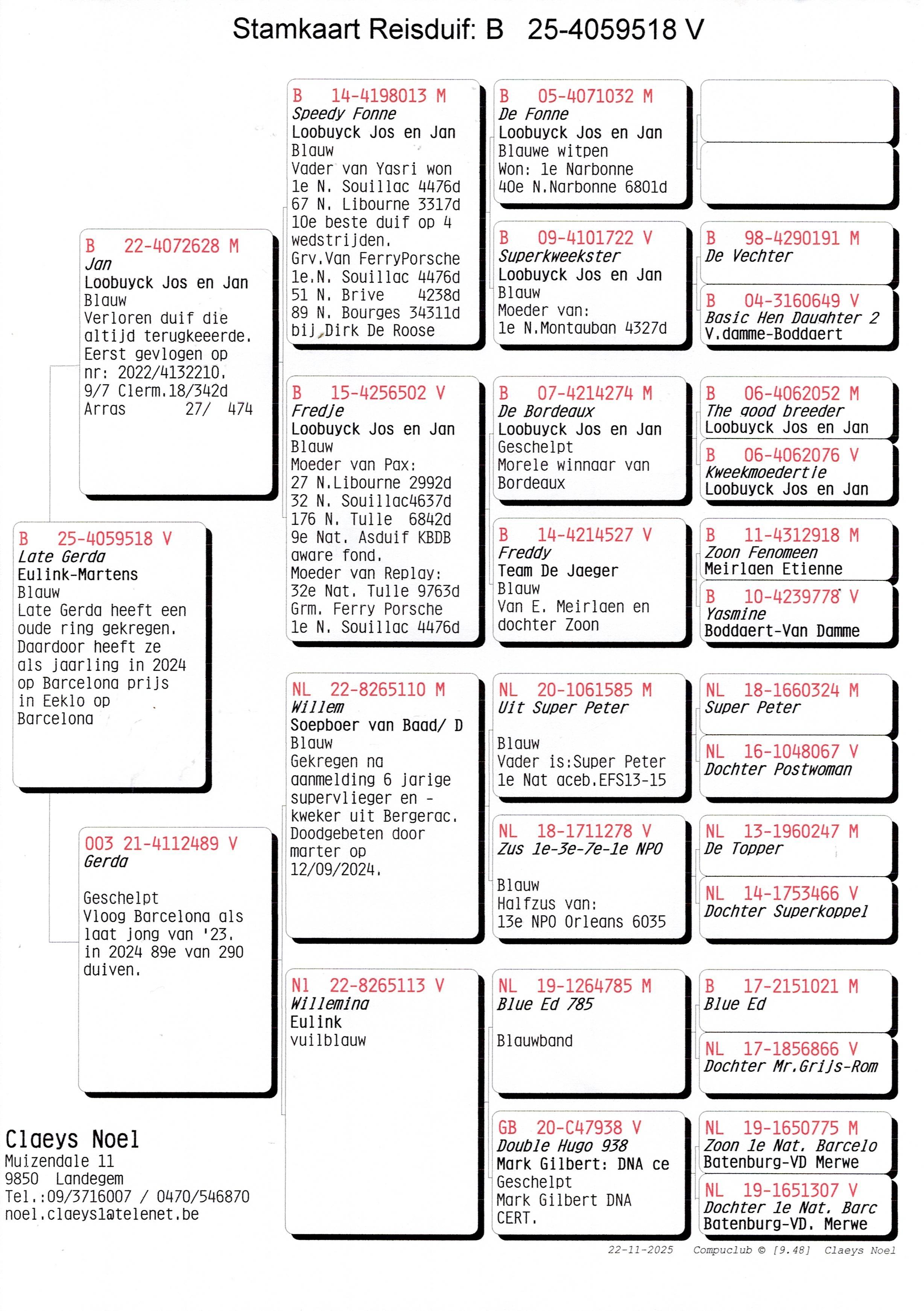 pedigree Claeys Noël, Landegem - duif ter plaatse