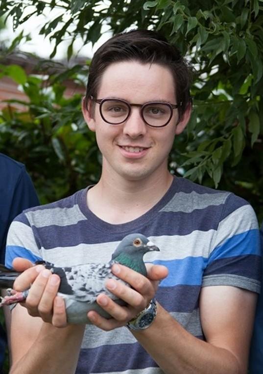 Gyselbrecht Laurens, Knesselare - jonge duif op afspraak