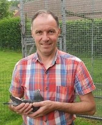 De Keyser Thierry, Vosselare - jonge duif op afspraak