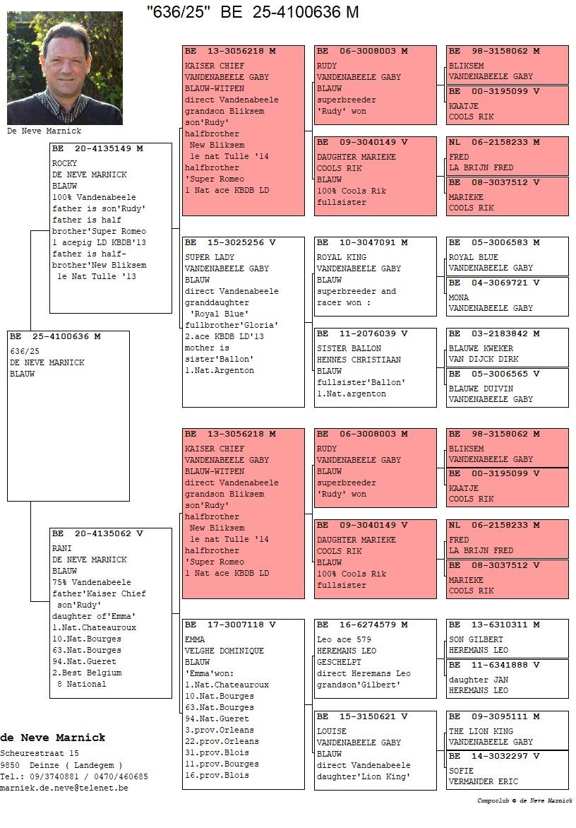 pedigree De Neve Marnick, Landegem - duif ter plaatse