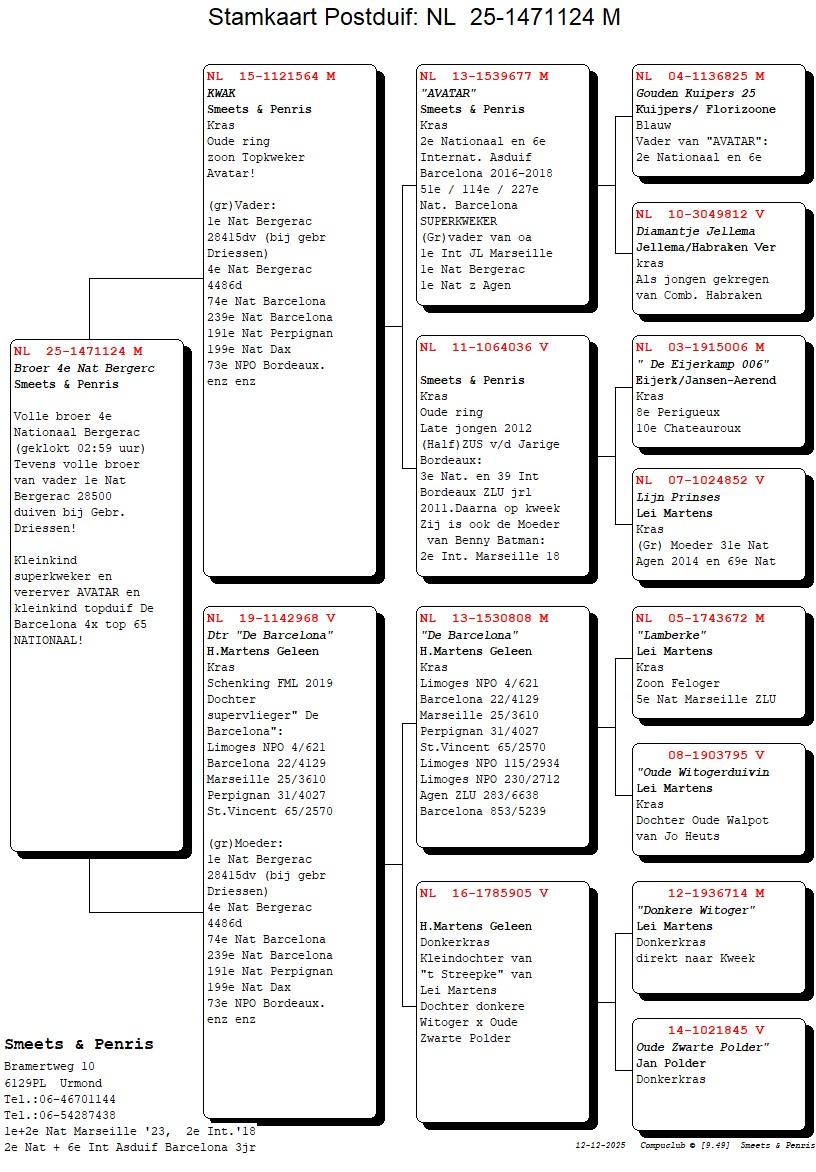 pedigree Broer 4° Nat Bergerac 