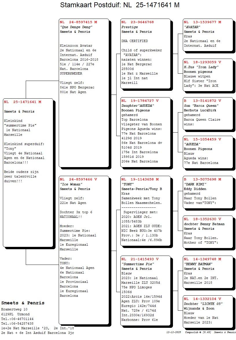 pedigree Que Deng Deng x Ice Woman 