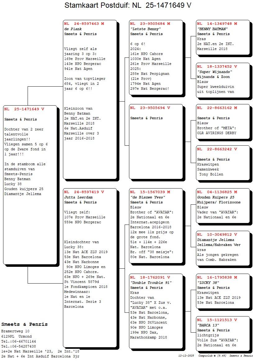 pedigree De Plank x Jutte Leerdam 