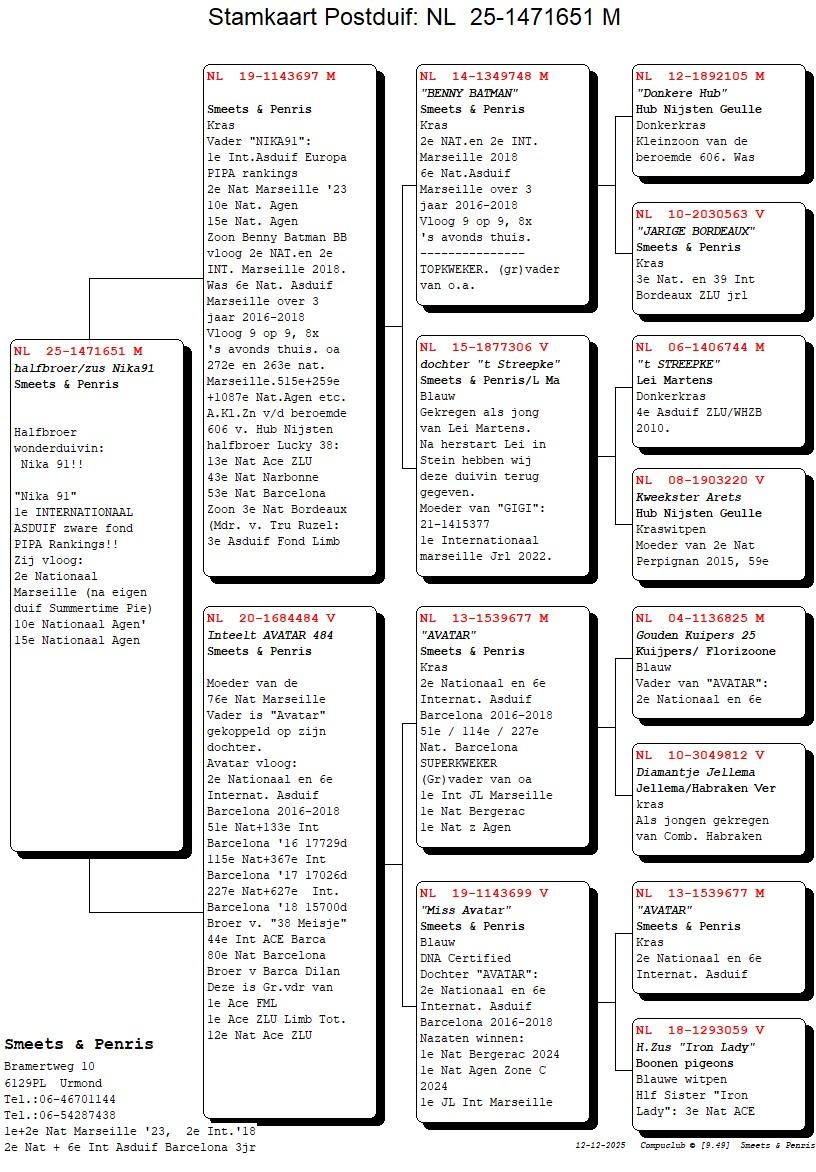 pedigree Halfbroer Nika 91 